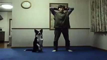 Bu köpeğin yaptığına inanamayacaksınız