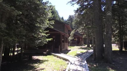 Temiz hava ve serinlik arayanların vazgeçilmez adresi Uludağ'a yaz ilgisi