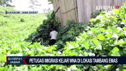 Petugas Imigrasi Kejar WNA di Lokasi Tambang Emas, Ada Apa?