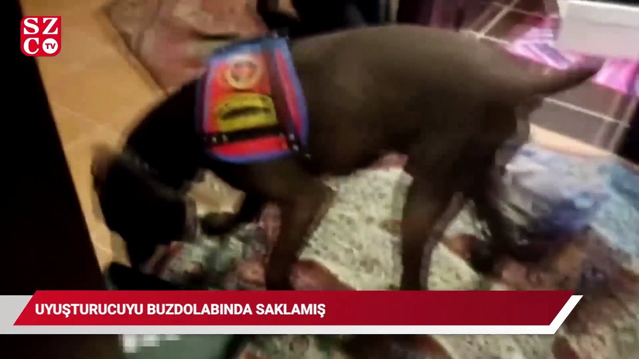 Uyuşturucuyu buzdolabında saklamış