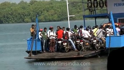 Ferryboats cross Mapusa River at Penha de France, Goa (or is it Mandovi_)