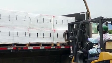 Lieferung eingetroffen: Impfstoff für Haiti