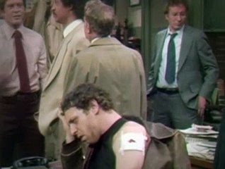 Barney Miller S08E17 Old Love