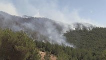Hassa'daki orman yangınına havadan ve karadan müdahale ediliyor (2)