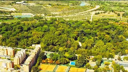 Grüne Wand um Madrid kühlt und schluckt CO2