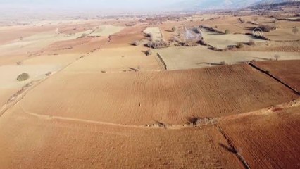 Kurak ve verimsiz alanlar "üzüm bağı" yapılarak ekonomiye kazandırılıyor