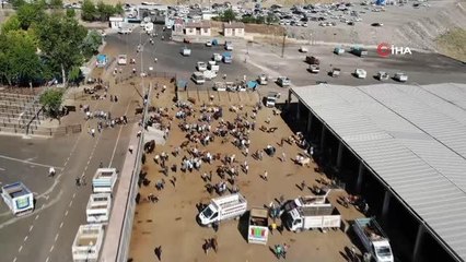 Diyarbakır Hayvan Borsası'nda beklenen hareketlilik yaşanmıyor