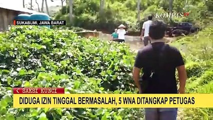 Diduga Langgar Izin Tinggal, 5 WNA Asal Tiongkok dan Malaysia Ditangkap di Tambang Emas Sukabumi