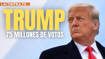Las cuatro razones principales por las que 75 millones de personas votaron a Trump