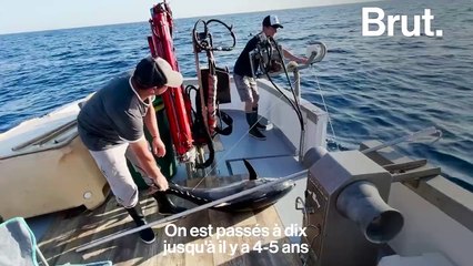 En Corse, ce pêcheur prône une pêche "durable" et "responsable"