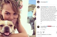 Chrissy Teigen and John Legend mourn loss of pet pooch Pippa