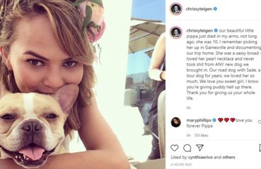 Chrissy Teigen and John Legend mourn loss of pet pooch Pippa
