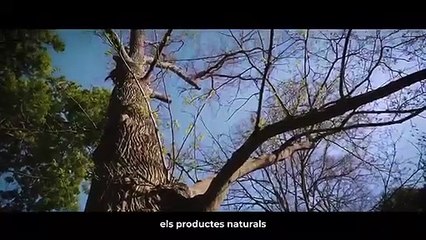 Campanya IGP Ratafia catalana