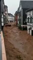 Almanya'nın batısı sular altında; sel 100'den fazla kişinin ölümüne sebep oldu