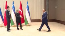 Dışişleri Bakanı Çavuşoğlu, Özbekistan Cumhurbaşkanı Mirziyoyev tarafından kabul edildi
