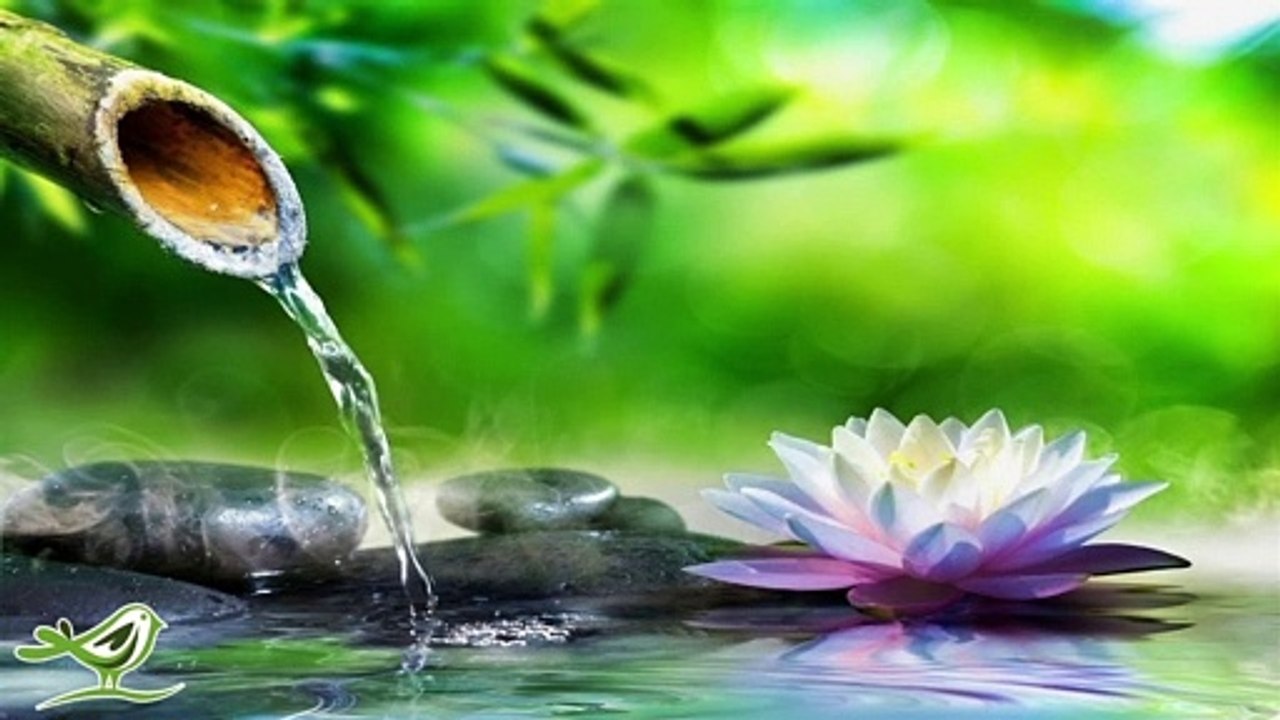 Best Relaxing Music  Bamboo Flute | Sleep Music  | Meditation Music  | Peaceful Sleep Music