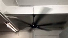 AIND Industrial 80 Inches Ceiling Fan