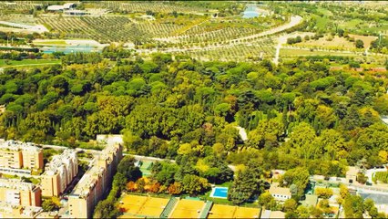 Μαδρίτη: Δάσος «πράσινο τείχος» κατά της κλιματικής αλλαγής