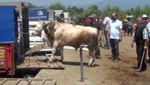 Gelenek yine bozulmadı: Elle pazarlığa devam