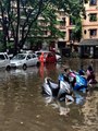 Hindistan'da sel felaketi