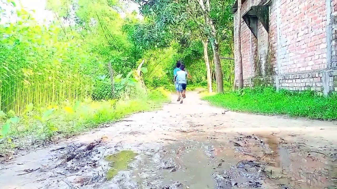 Must Watch  Funny Video 2021 Top New Try To Laughing Change