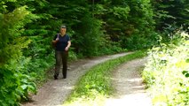 Δάσος της Βοσνίας υποψήφιο για προστασία από την UNESCO