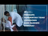 Mengapa Pemerintah Tidak Lockdown dari Pandemi Corona| Katadata Indonesia