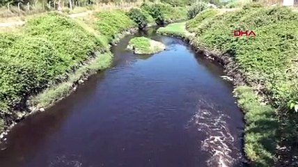 İyi partililer, Nilüfer Çayı'nın kirliliğine dikkat çekti