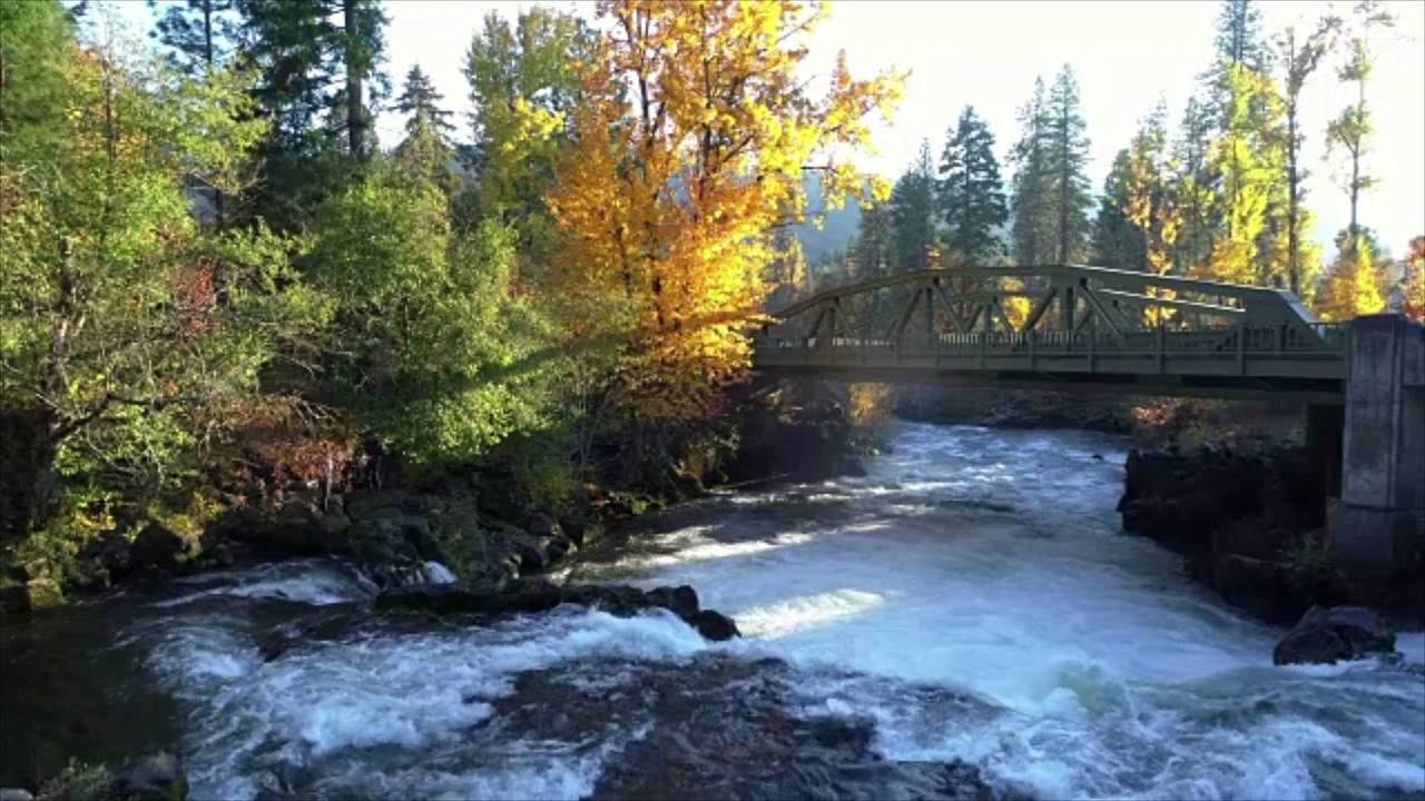 Young Salmon Are Traveling by Truck Instead of Swimming, Due to Deadly Water Temperatures