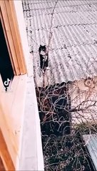 Mission impossible version chat