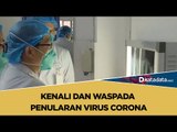 Kenali dan Waspada Penularan Virus Corona | Katadata Indonesia