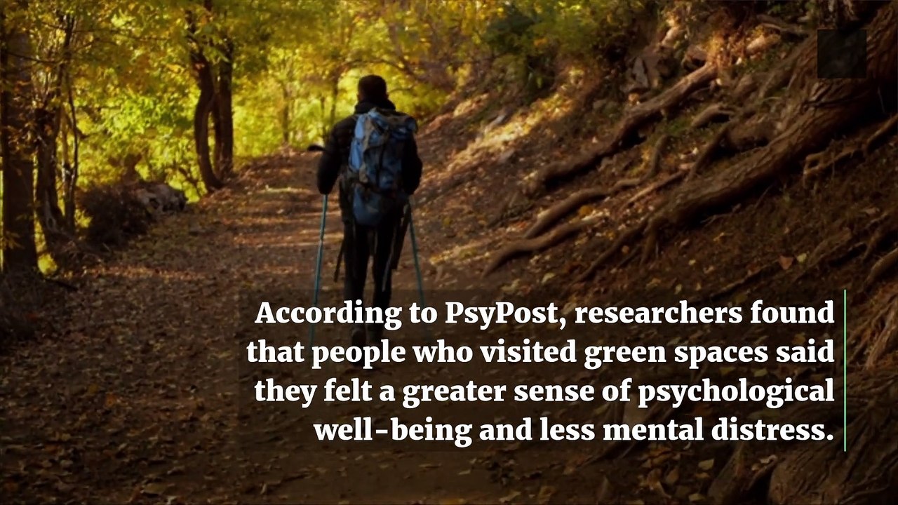 Beeing in Nature is Linked to Improved Mental Health