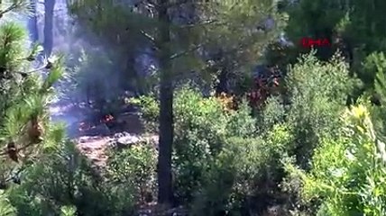 Hassa'daki yangın, 2'nci günde de devam ediyor