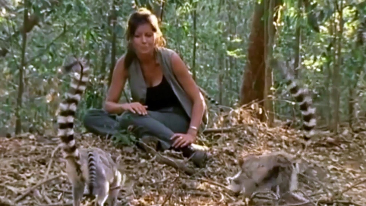 Territory Battle  Babies on the Front Line  Cousins | Wild Animals