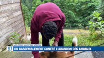 A la Une : Un député menacé de mort / Des pompiers de la Loire au secours de la Belgique / Un rassemblement contre l'abandon des animaux