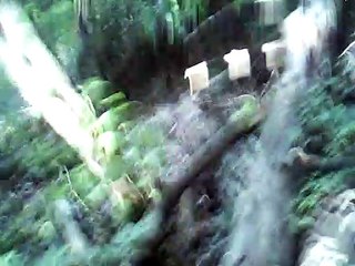 L'autre jour jouer m'aloye 2nd voice