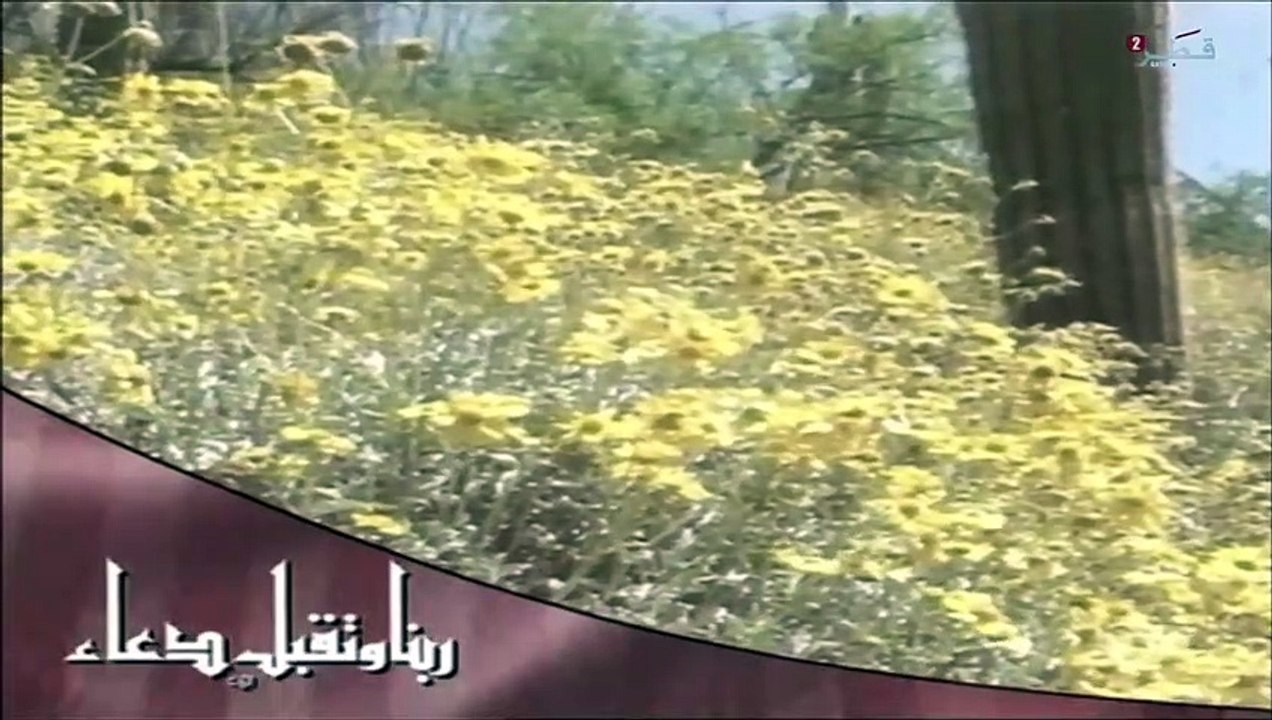 ربنا وتقبل دعاء 7 من تلفزيون قطر 2