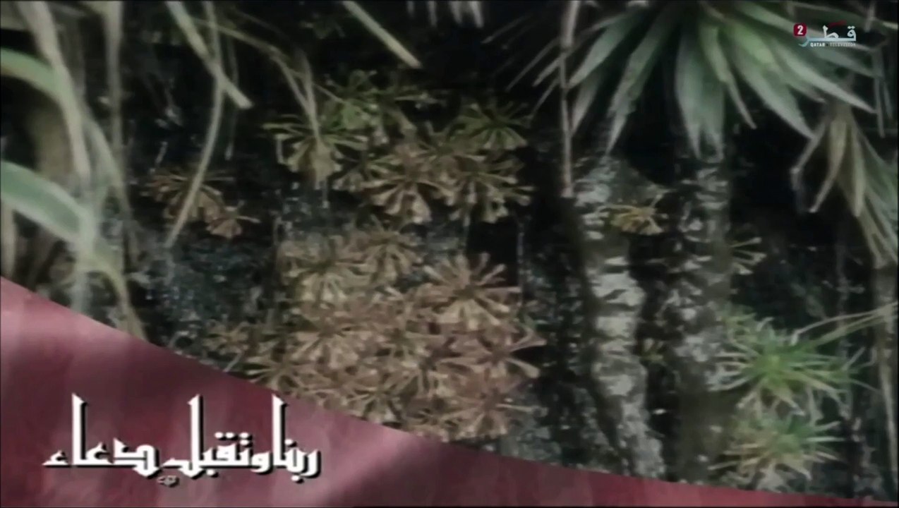 ربنا وتقبل دعاء من تلفزيون قطر 2
