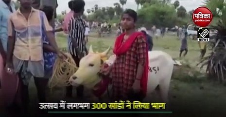 VIDEO: तमिलनाडु में मनाया गया 'मंजू विराट्तु' उत्सव, कोरोना नियमों की उड़ी धज्जियां