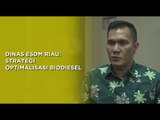 DINAS ESDM RIAU: Strategi Optimalisasi Biodiesel | Sisi  By Katadata Indonesia