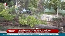 İzmir Belediyesi ağaç katliamı yaptı