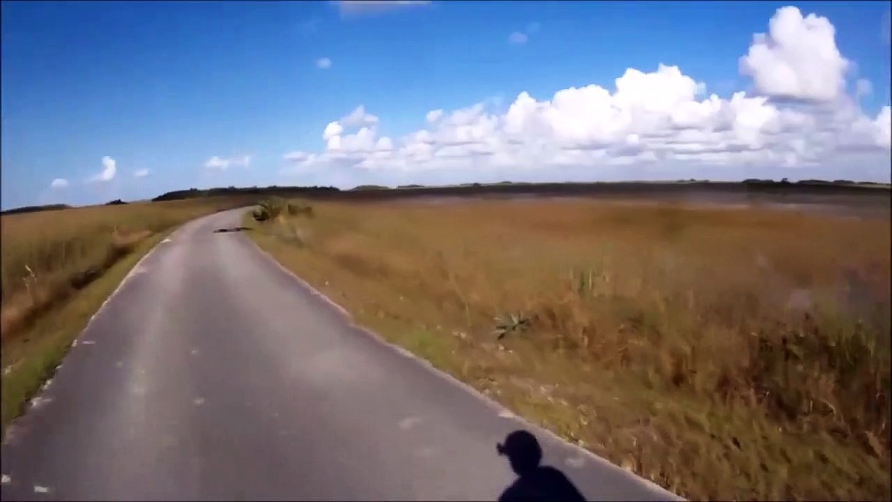 A vélo il croit voir un tronc d'arbre sur la route... C'est en fait un joli crocodile