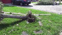 Scenes from path of tornado destruction in Barrie, Ont.