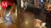 Víbora cae sobre niño cuando cenaba con su familia en un restaurante en Nuevo León