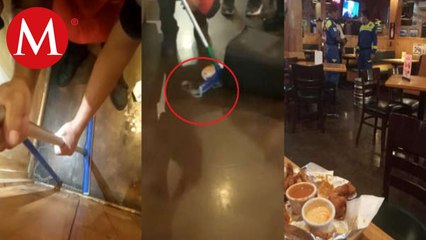 Víbora cae sobre niño cuando cenaba con su familia en un restaurante en Nuevo León