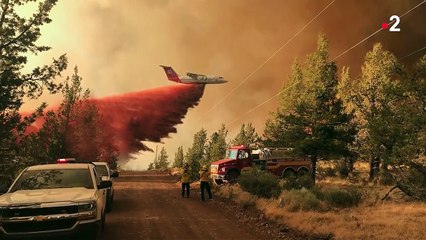 Photo Hebdo : des femmes fuient l'Ethiopie, parapluies colorés au Kosovo et des cochons so British en Angleterre