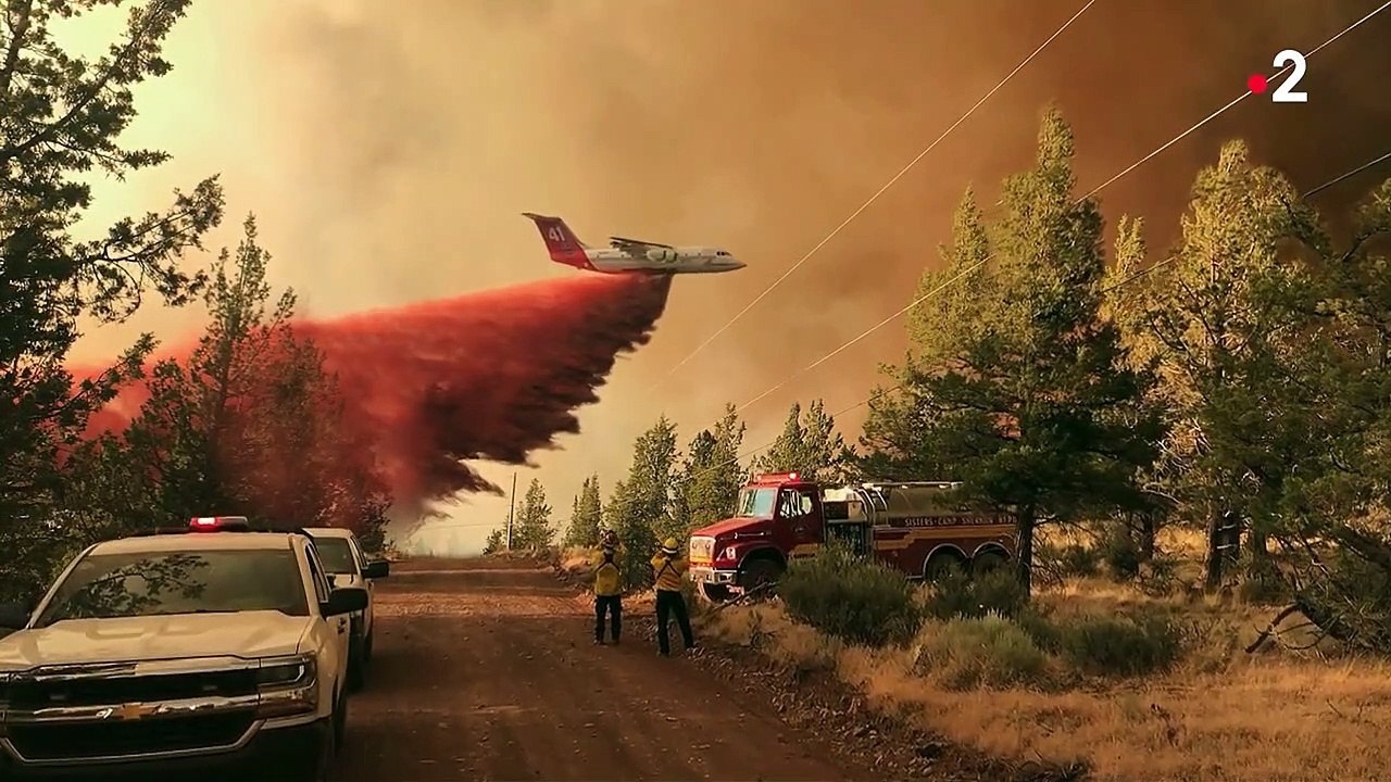 Photo Hebdo : des femmes fuient l'Ethiopie, parapluies colorés au Kosovo et des cochons so British en Angleterre
