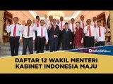Daftar 12 Wakil Menteri Kabinet Indonesia Maju | Katadata Indonesia