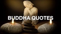 Buddha Quotes On Positive Thinking | Buddha Quotes #buddha #quotes