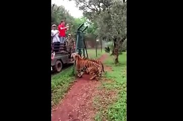 Kaplanın bu yaptığına inanamayacaksınız